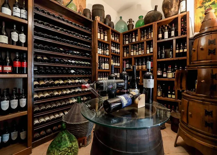 索尼亚别墅酒店 陶尔米纳
